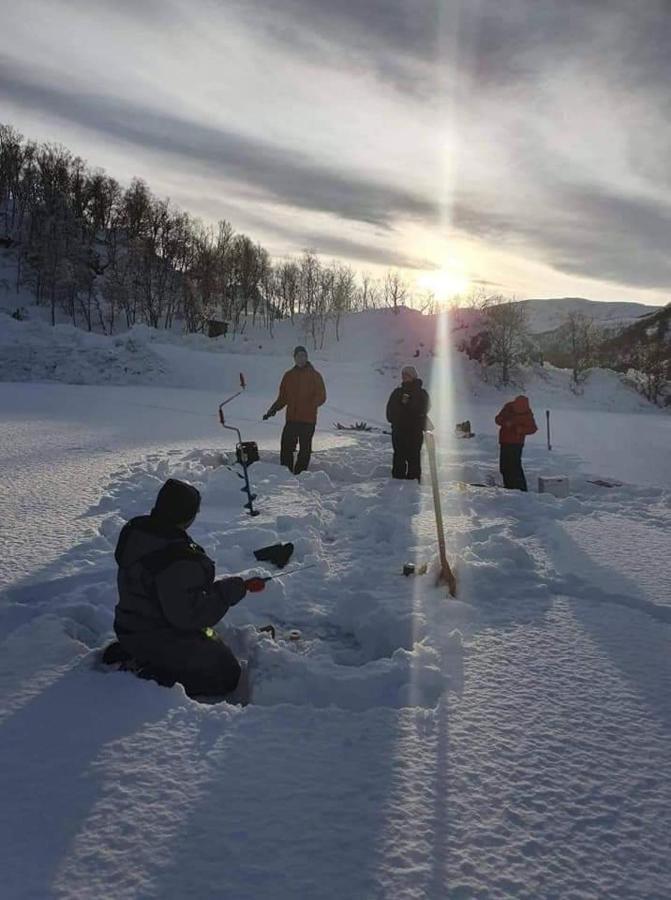 Senja arctic lodge Stonglandseidet Exterior foto