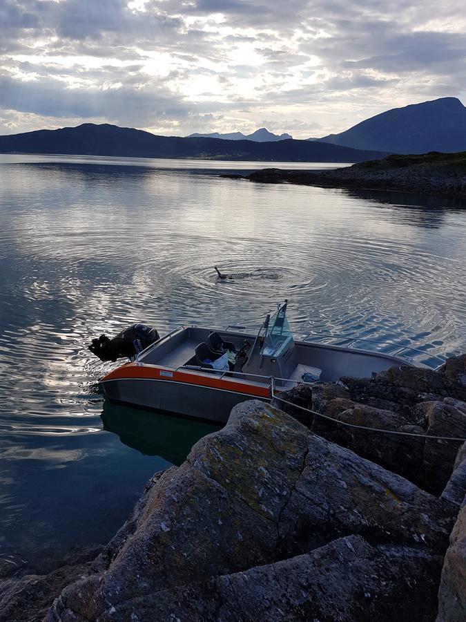Senja arctic lodge Stonglandseidet Exterior foto
