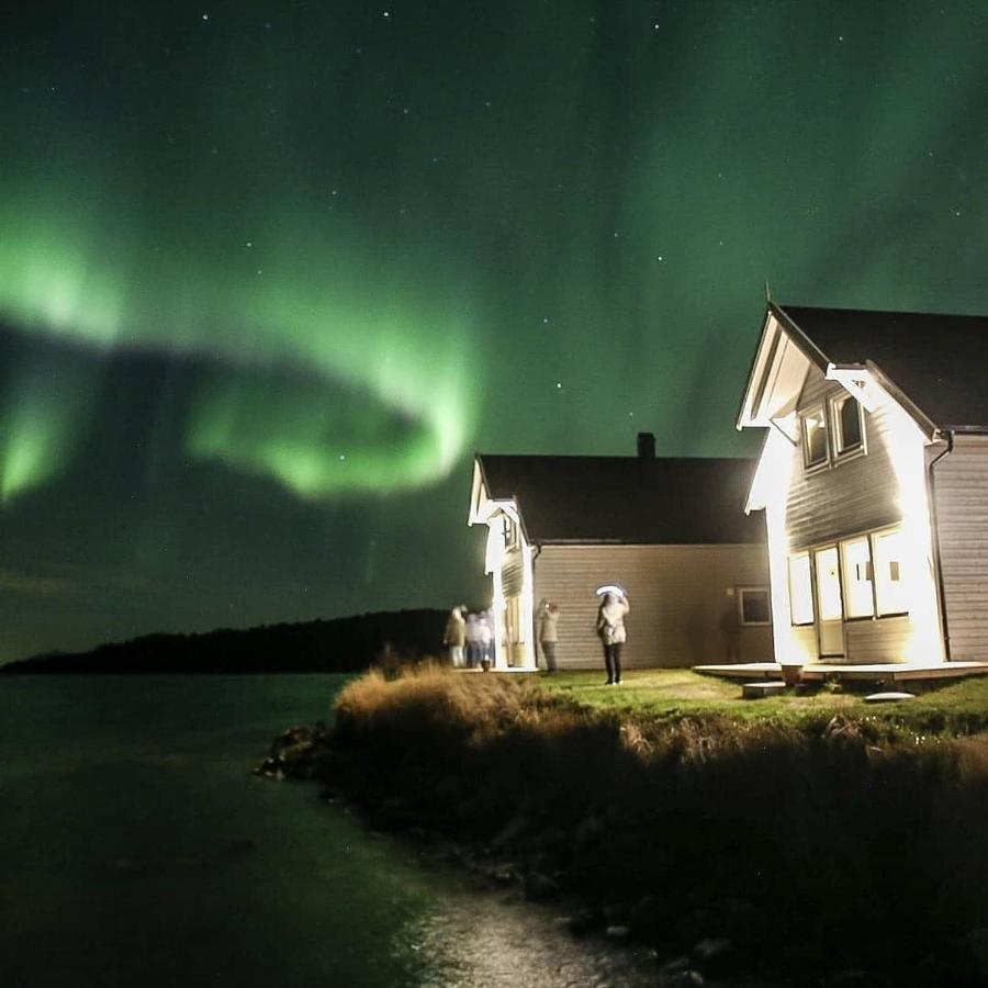 Senja arctic lodge Stonglandseidet Exterior foto